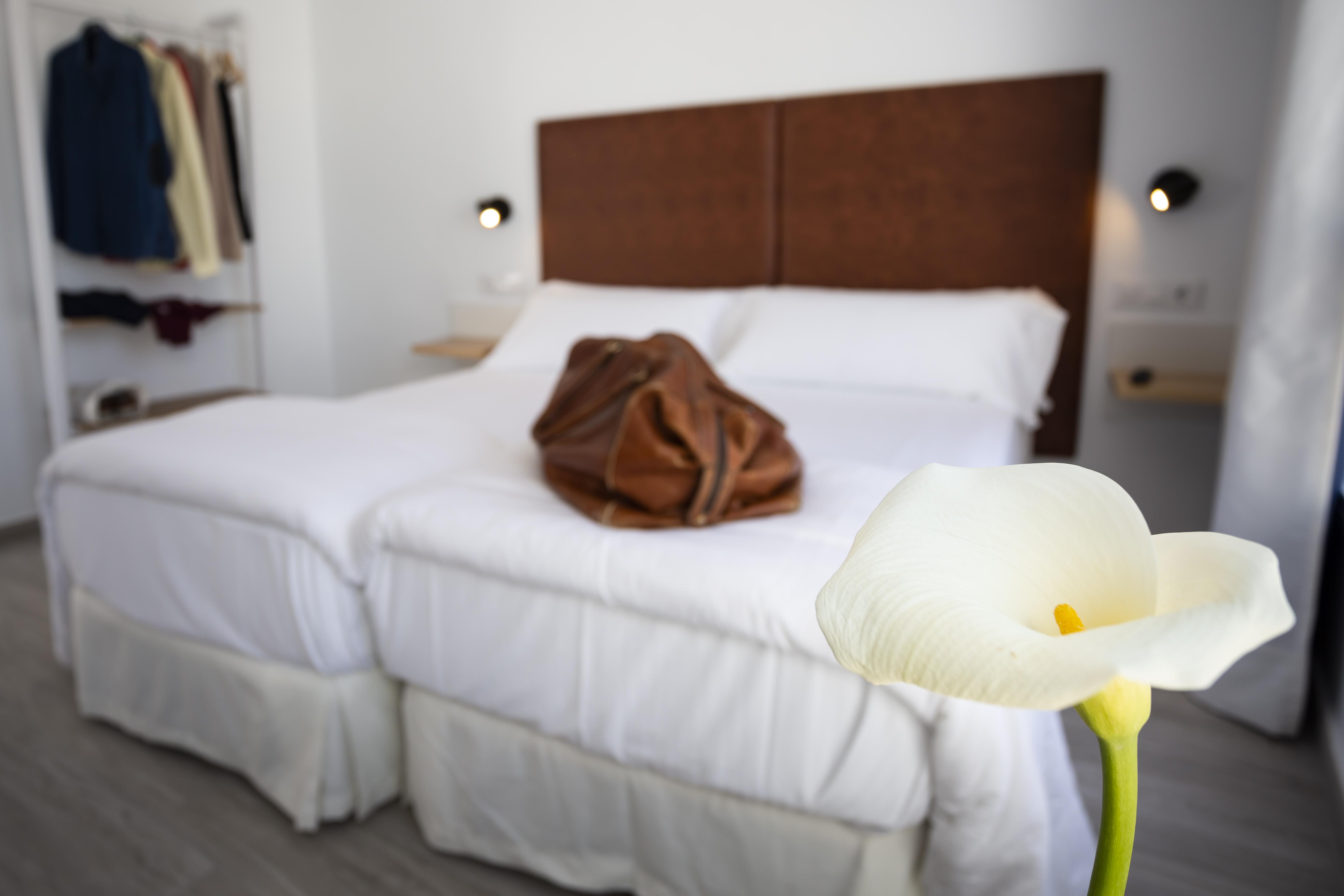 Basic Hotel Sevilla Catedral المظهر الخارجي الصورة